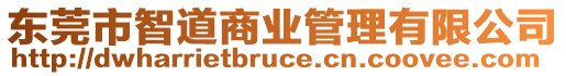 東莞市智道商業(yè)管理有限公司