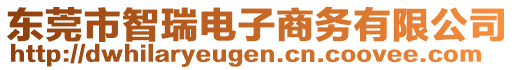 東莞市智瑞電子商務(wù)有限公司