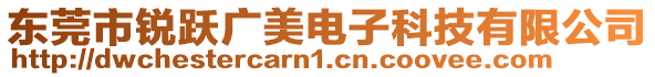 東莞市銳躍廣美電子科技有限公司