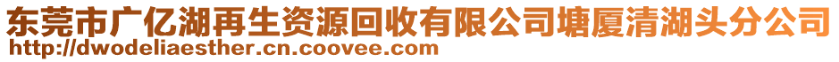 東莞市廣億湖再生資源回收有限公司塘廈清湖頭分公司