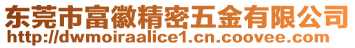 東莞市富徽精密五金有限公司