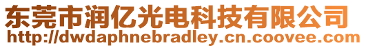 東莞市潤億光電科技有限公司