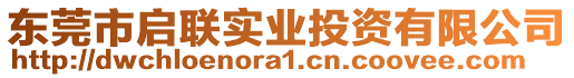 東莞市啟聯(lián)實(shí)業(yè)投資有限公司