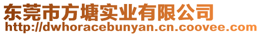 東莞市方塘實業有限公司