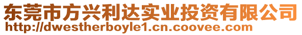 東莞市方興利達(dá)實(shí)業(yè)投資有限公司