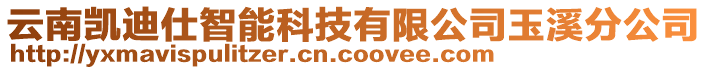 云南凱迪仕智能科技有限公司玉溪分公司