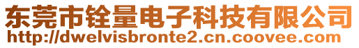 東莞市銓量電子科技有限公司