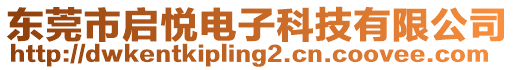 東莞市啟悅電子科技有限公司