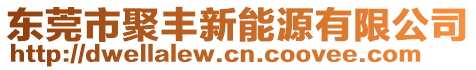 東莞市聚豐新能源有限公司