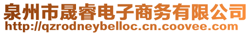 泉州市晟睿電子商務有限公司