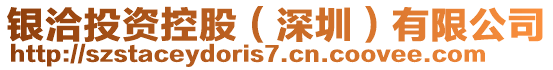 銀洽投資控股（深圳）有限公司