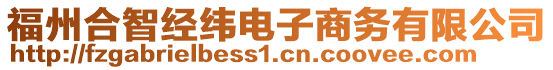 福州合智經(jīng)緯電子商務(wù)有限公司