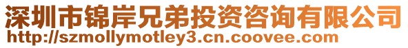 深圳市錦岸兄弟投資咨詢有限公司
