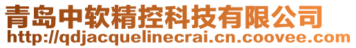 青島中軟精控科技有限公司