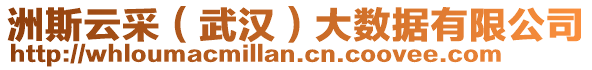 洲斯云采（武漢）大數(shù)據(jù)有限公司