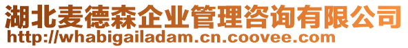 湖北麥德森企業(yè)管理咨詢有限公司