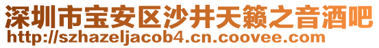 深圳市寶安區(qū)沙井天籟之音酒吧