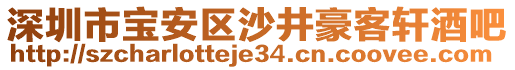 深圳市寶安區(qū)沙井豪客軒酒吧