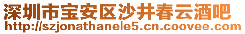 深圳市寶安區(qū)沙井春云酒吧