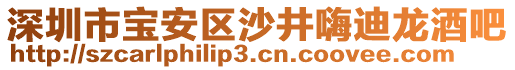 深圳市寶安區(qū)沙井嗨迪龍酒吧