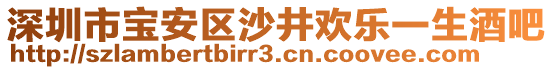 深圳市寶安區(qū)沙井歡樂一生酒吧