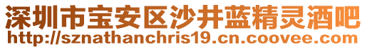 深圳市寶安區(qū)沙井藍精靈酒吧