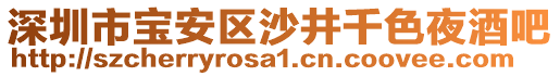 深圳市寶安區沙井千色夜酒吧