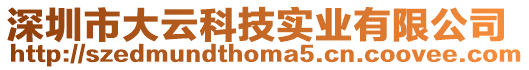 深圳市大云科技實業有限公司