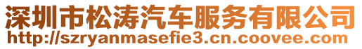 深圳市松濤汽車服務有限公司
