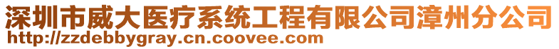 深圳市威大醫(yī)療系統(tǒng)工程有限公司漳州分公司