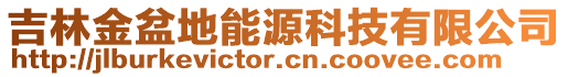 吉林金盆地能源科技有限公司