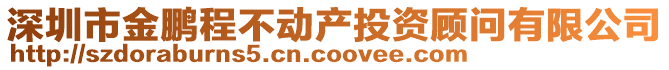 深圳市金鵬程不動(dòng)產(chǎn)投資顧問(wèn)有限公司