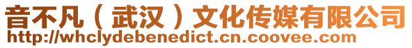 音不凡(武漢)文化傳媒有限公司