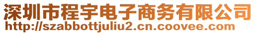 深圳市程宇電子商務(wù)有限公司