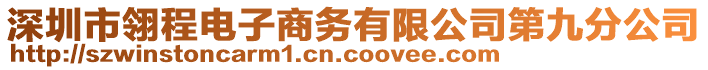 深圳市翎程電子商務有限公司第九分公司