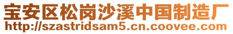 寶安區(qū)松崗沙溪中國(guó)制造廠