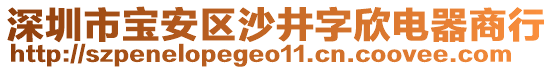 深圳市寶安區(qū)沙井字欣電器商行