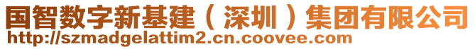 國智數字新基建(深圳)集團有限公司