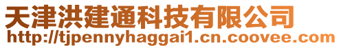 天津洪建通科技有限公司