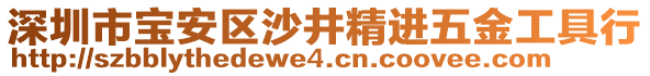 深圳市寶安區(qū)沙井精進(jìn)五金工具行