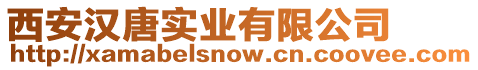 西安漢唐實業有限公司