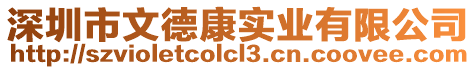 深圳市文德康實業有限公司
