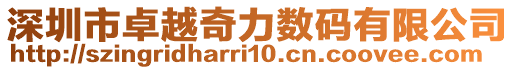 深圳市卓越奇力數碼有限公司