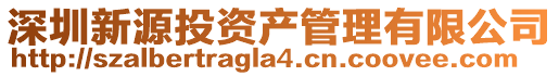 深圳新源投資產管理有限公司