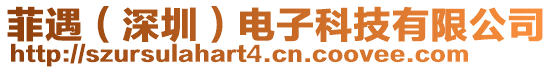菲遇(深圳)電子科技有限公司