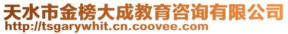 天水市金榜大成教育咨詢有限公司