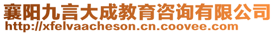 襄陽九言大成教育咨詢有限公司