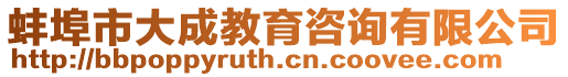 蚌埠市大成教育咨詢有限公司