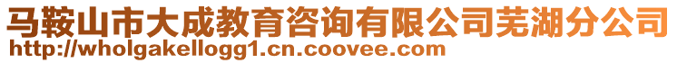 馬鞍山市大成教育咨詢有限公司蕪湖分公司