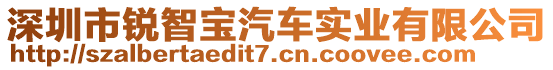 深圳市銳智寶汽車實業有限公司